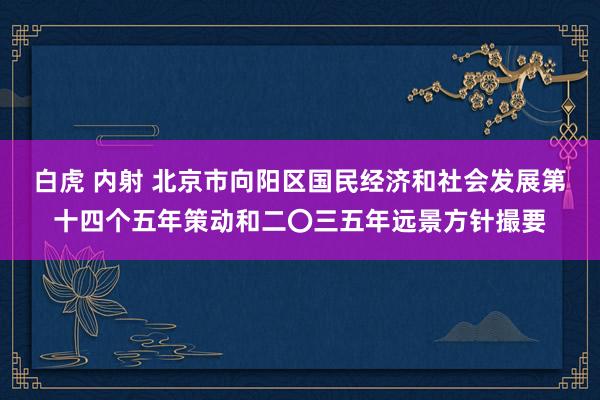 白虎 内射 北京市向阳区国民经济和社会发展第十四个五年策动和二〇三五年远景方针撮要