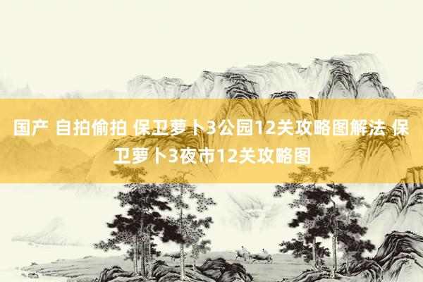 国产 自拍偷拍 保卫萝卜3公园12关攻略图解法 保卫萝卜3夜市12关攻略图