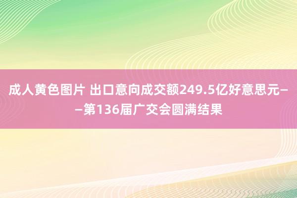 成人黄色图片 出口意向成交额249.5亿好意思元——第136届广交会圆满结果